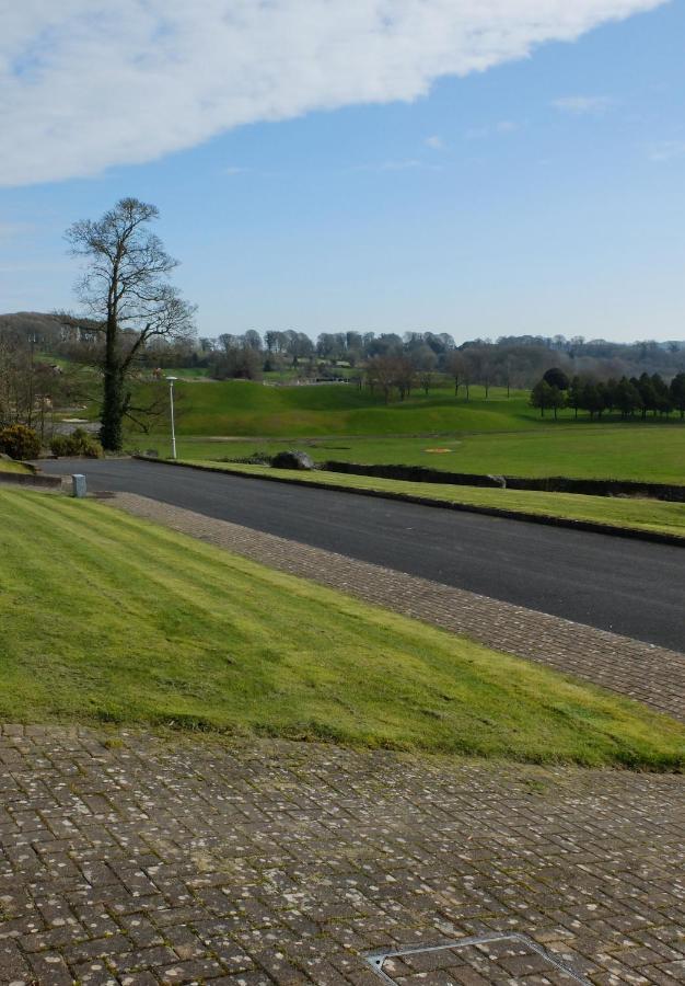 4 The Mews Villa Athlone Buitenkant foto